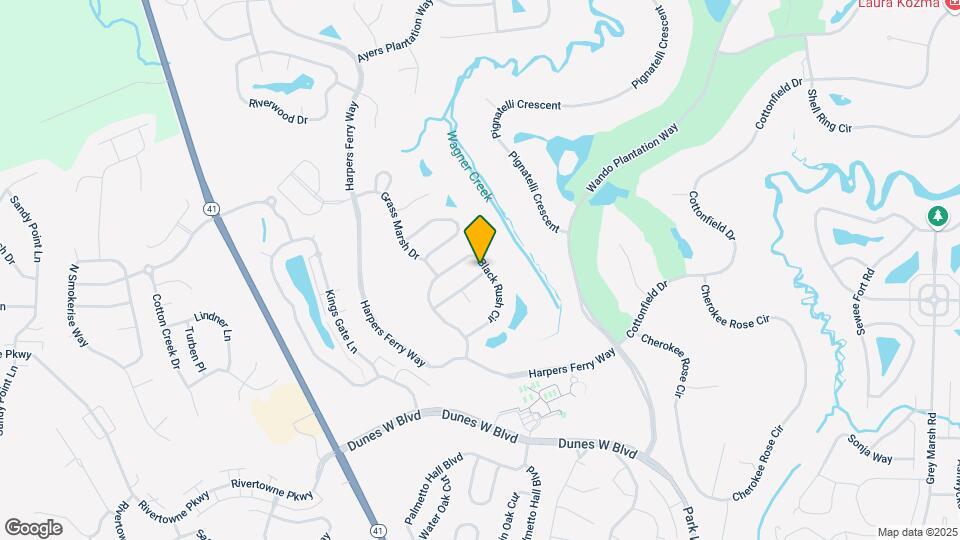 1067 Black Rush Cir Map and Location Details