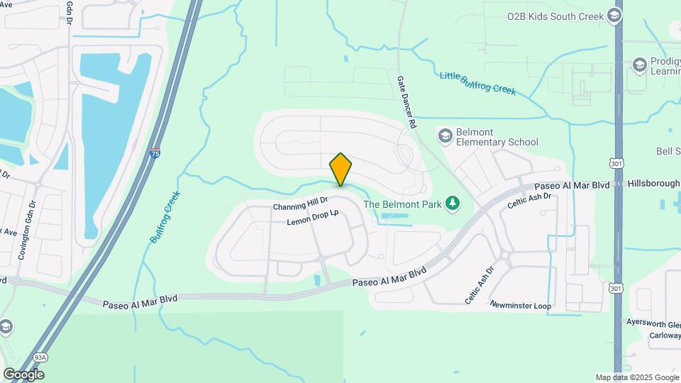 9632 Channing Hill Dr Mapa y Detalles de la Ubicación