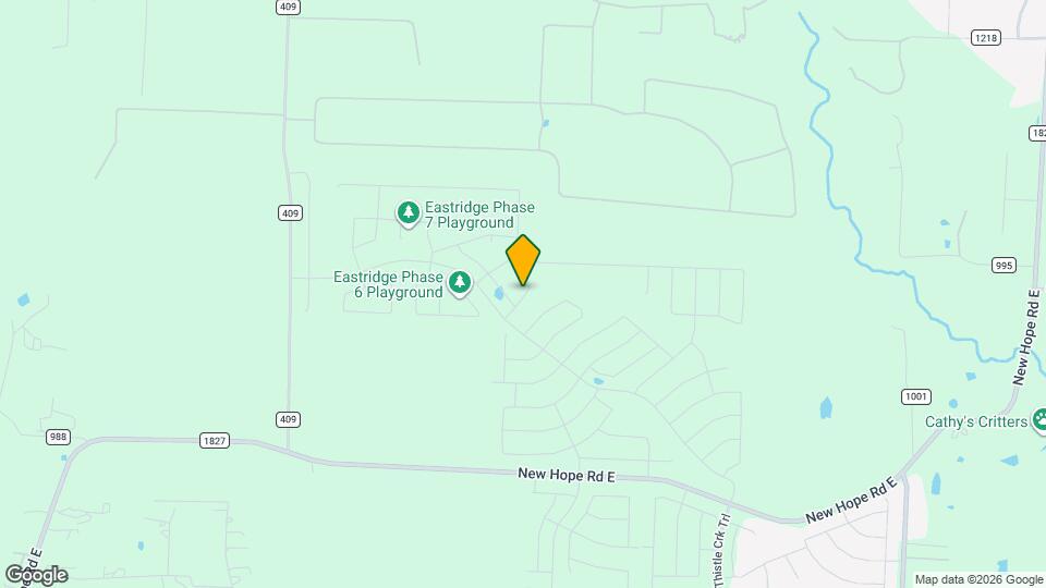 704 Dotty Dr Mapa y Detalles de la Ubicación