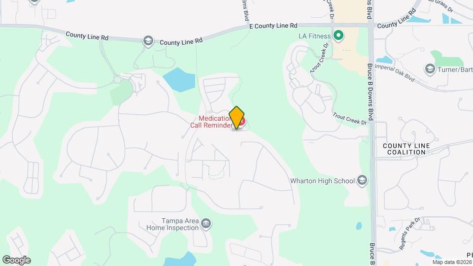 8605 Fiddleleaf Ct Map and Location Details