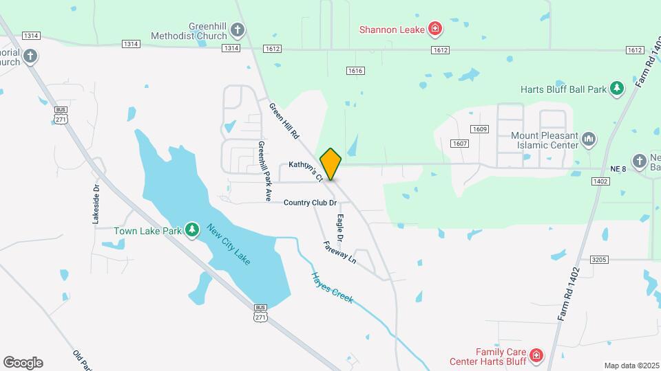 249 Kathryn's Ct Map and Location Details