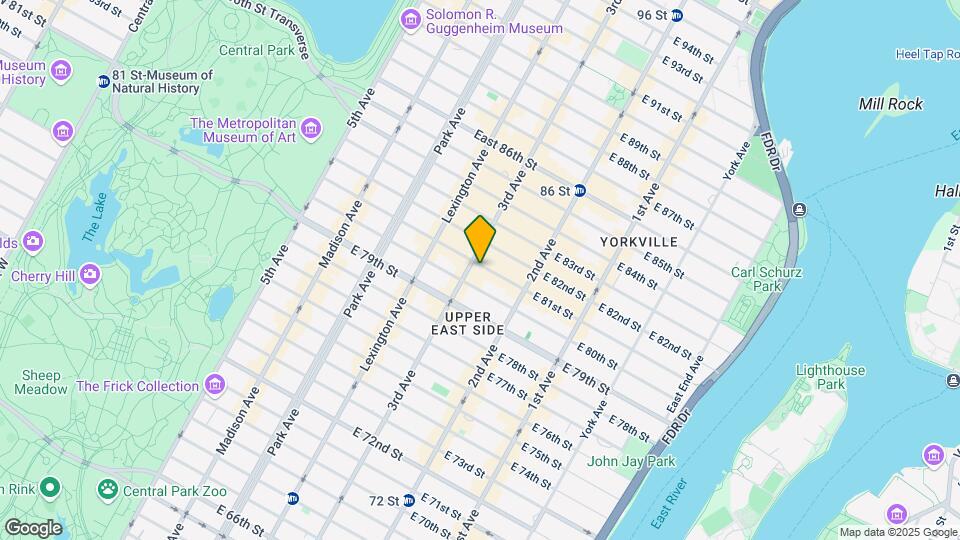 206 E 81st St Map and Location Details
