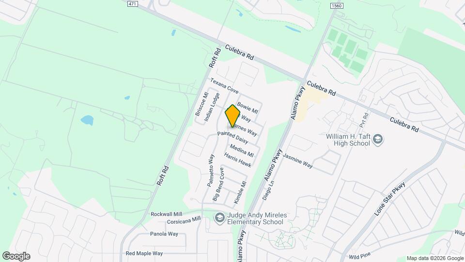 12239 Painted Daisy Map and Location Details