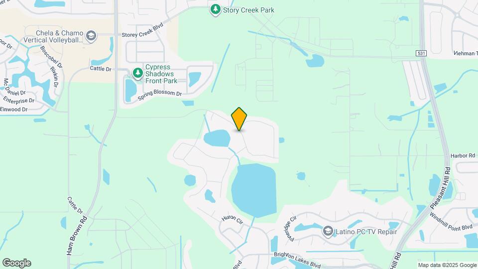 4328 Desert Rose Ave Map and Location Details