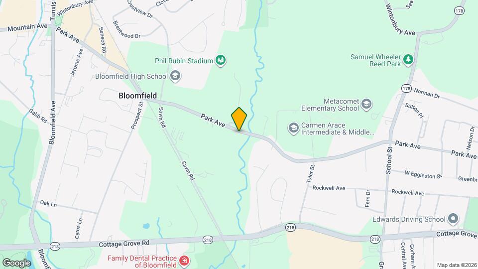 541 Park Ave Map and Location Details