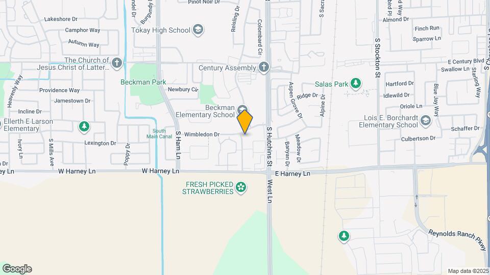 Wimbledon Square Apartments Lodi, CA Apartments For Rent