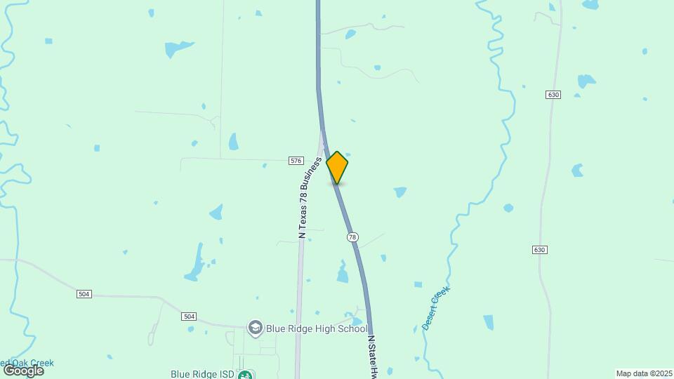 1166 S State Hwy 78 Map and Location Details