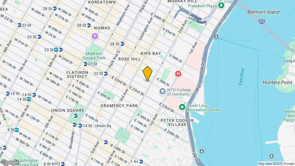 242 E 25th St Mapa y Detalles de la Ubicación
