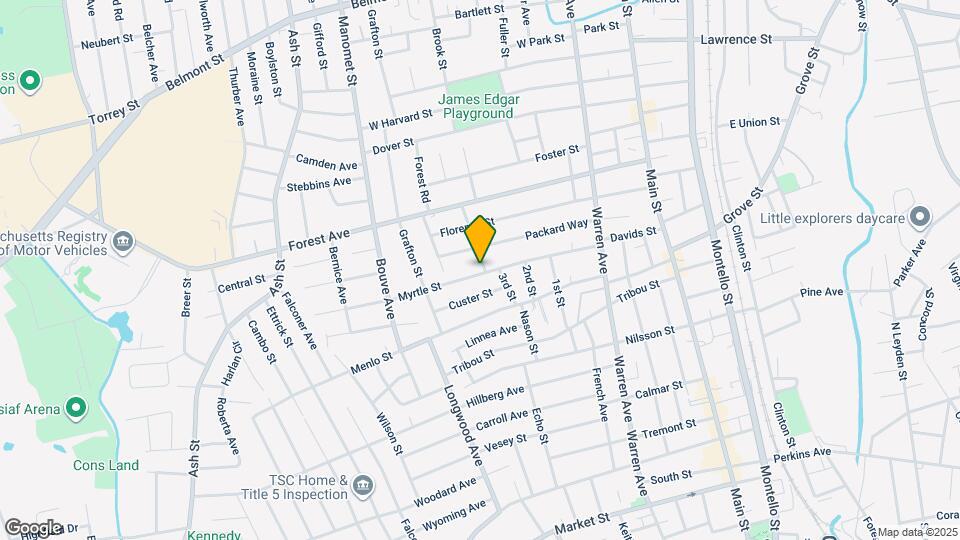 113 Myrtle St Mapa y Detalles de la Ubicación