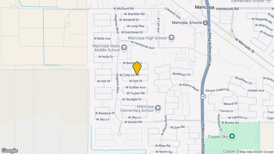 45611 W Tulip Ln Mapa y Detalles de la Ubicación