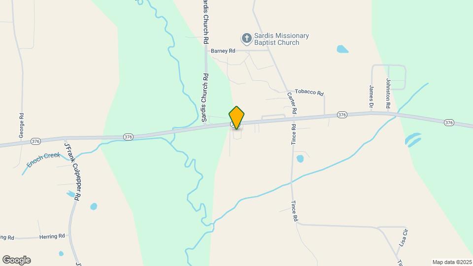 1423 GA-376 Map and Location Details