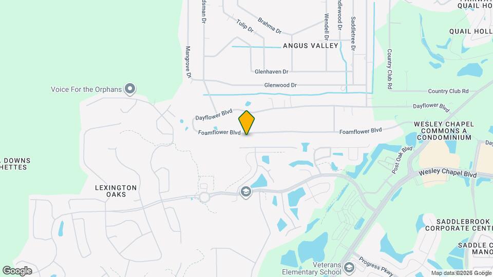 26326 Foamflower Blvd Map and Location Details