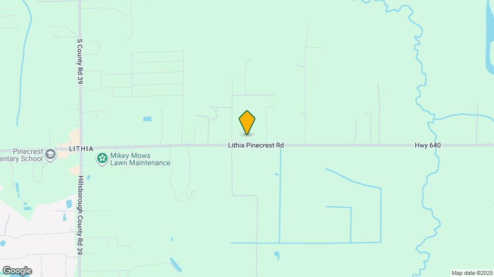 8719 Lithia Pinecrest Rd Map and Location Details