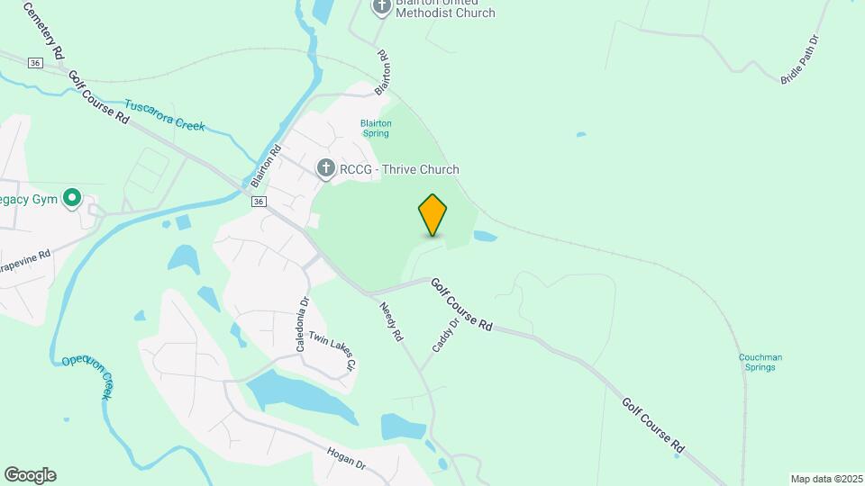 113 Carnegie Links Dr Map and Location Details