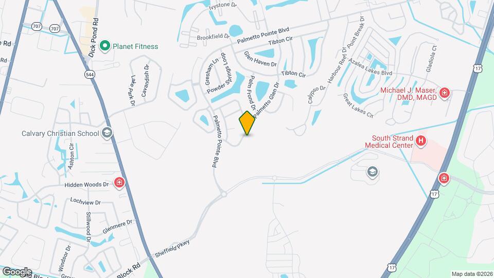 309 Palmetto Glen Dr Map and Location Details