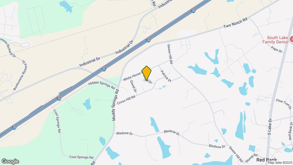 113 Eleta Dr Mapa y Detalles de la Ubicación