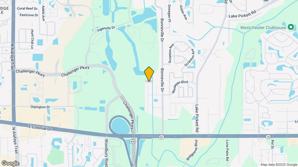 2021 Palmetto Pine Ln Map and Location Details