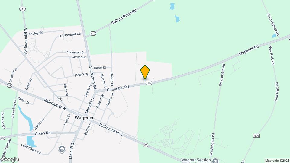 Carriage Lane Mapa y Detalles de la Ubicación