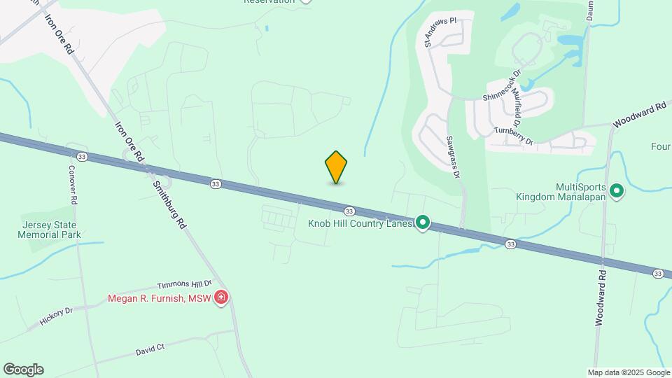 The Place at Manalapan Mapa y Detalles de la Ubicación