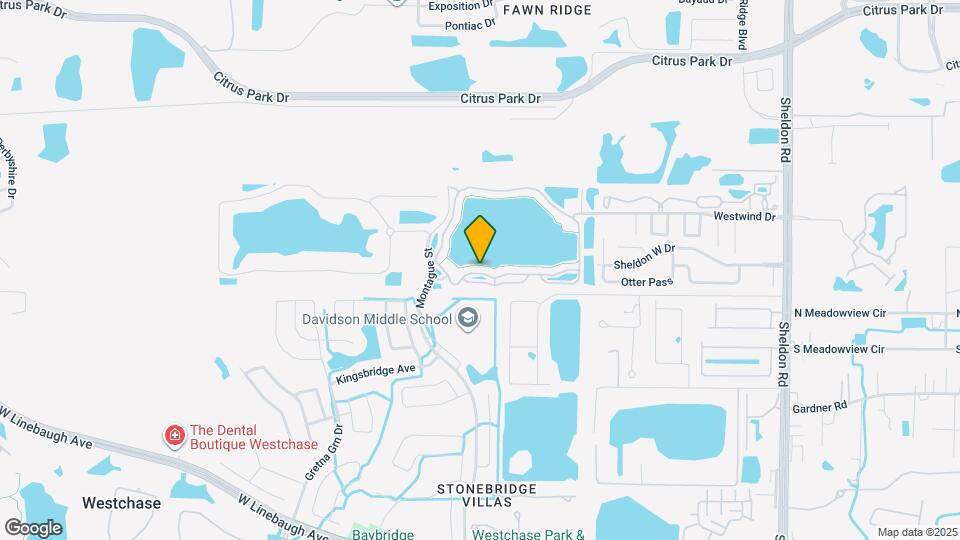9558 Lake Chase Island Way Map and Location Details