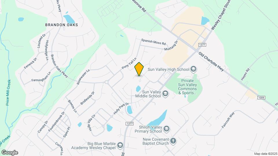 1007 Council Fire Cir Mapa y Detalles de la Ubicación