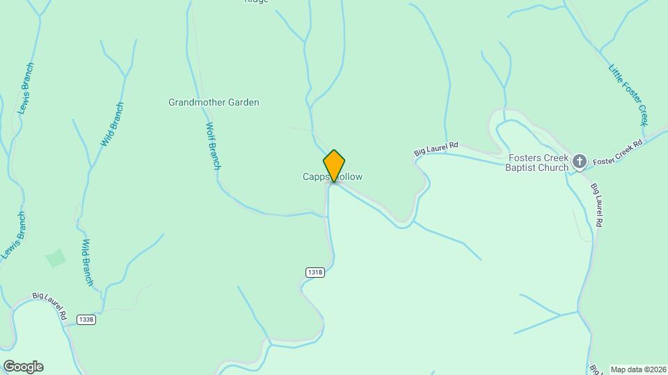 9228 Big Laurel Rd Map and Location Details