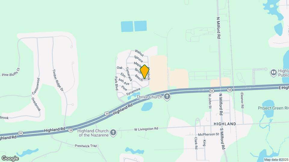 117 Beech Map and Location Details