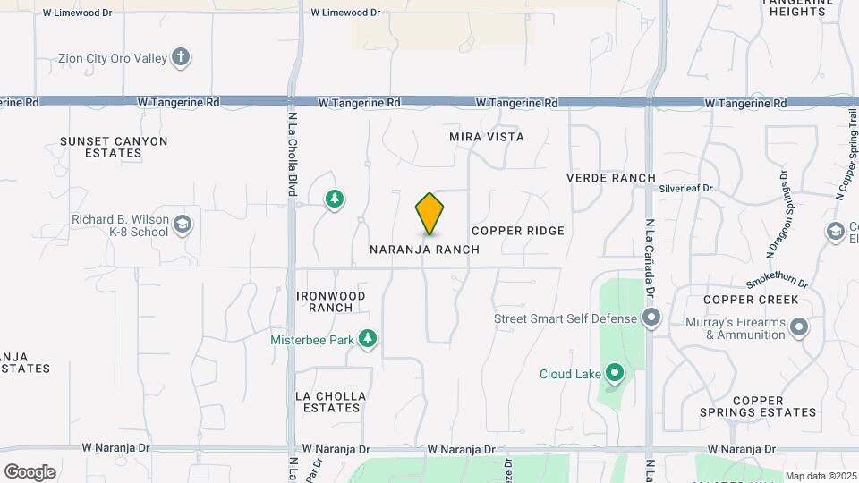 1825 W Corte Tulipan Map and Location Details