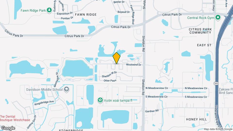 11806 Cypress Hill Cir Map and Location Details