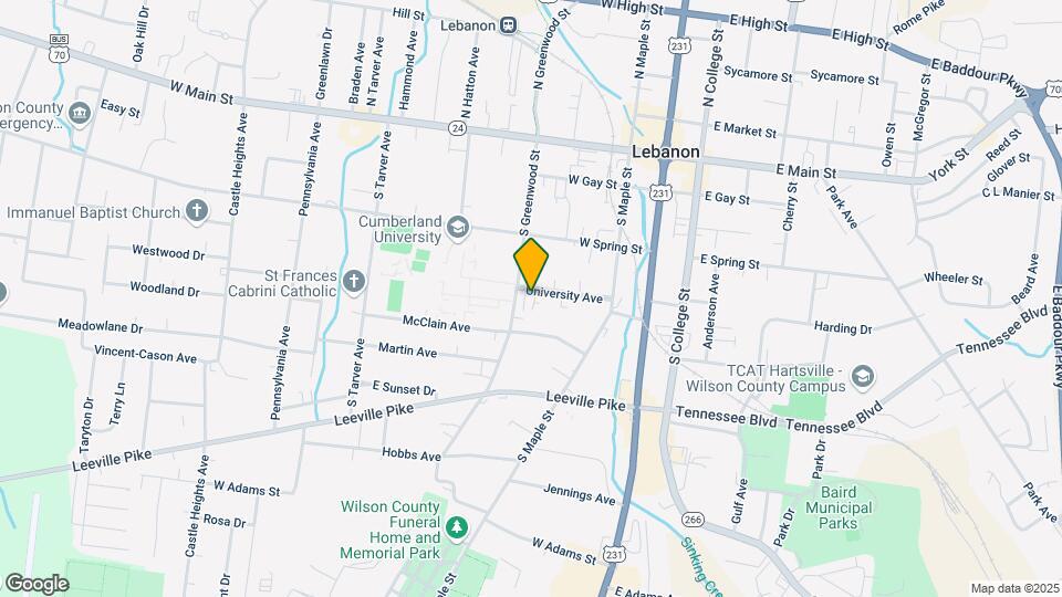 234 University Ave Mapa y Detalles de la Ubicación