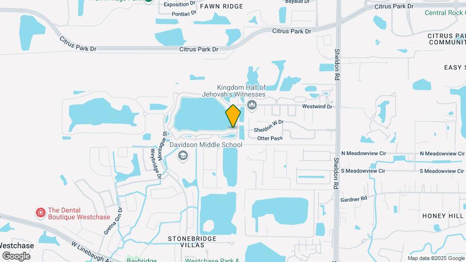 9850 Lake Chase Island Way Map and Location Details