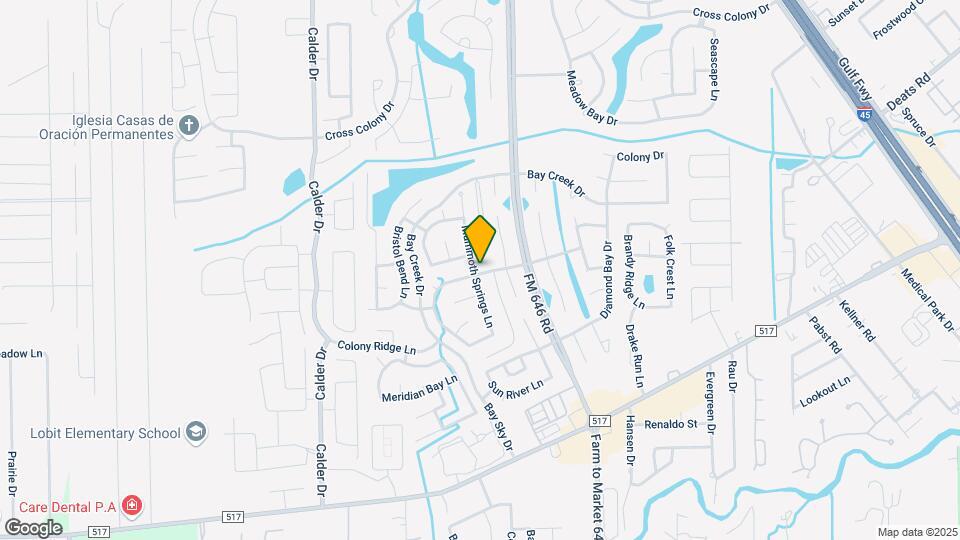 229 Mammoth Springs Ln Map and Location Details