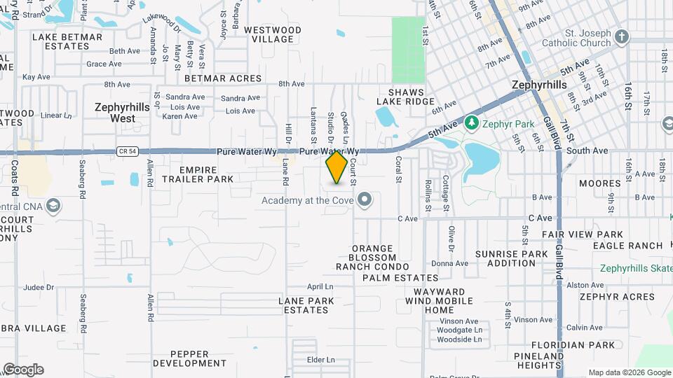 37685 Leafside Ln Mapa y Detalles de la Ubicación