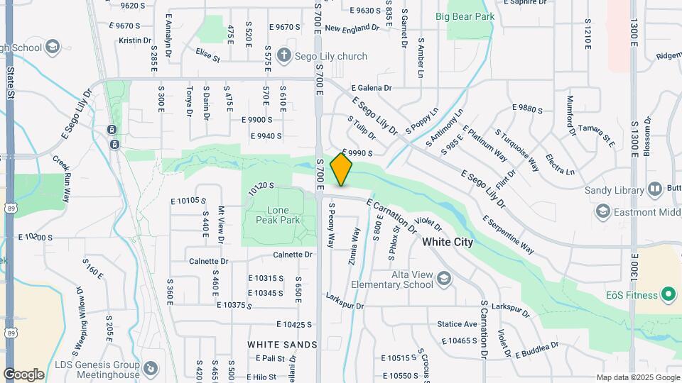 739 E Carnation Dr Map and Location Details