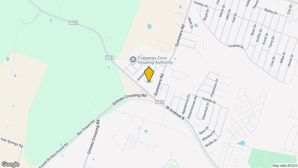 3103 Yaupon Rd Map and Location Details