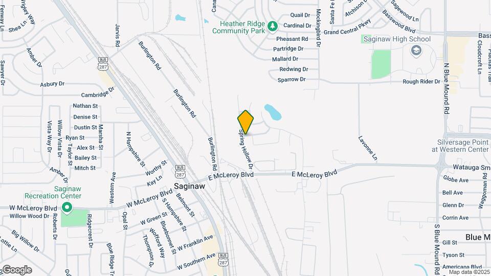 157 Spring Hollow Dr Map and Location Details