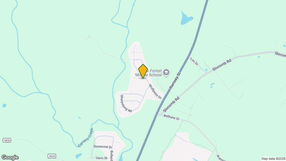 207 Batesfield Dr Mapa y Detalles de la Ubicación