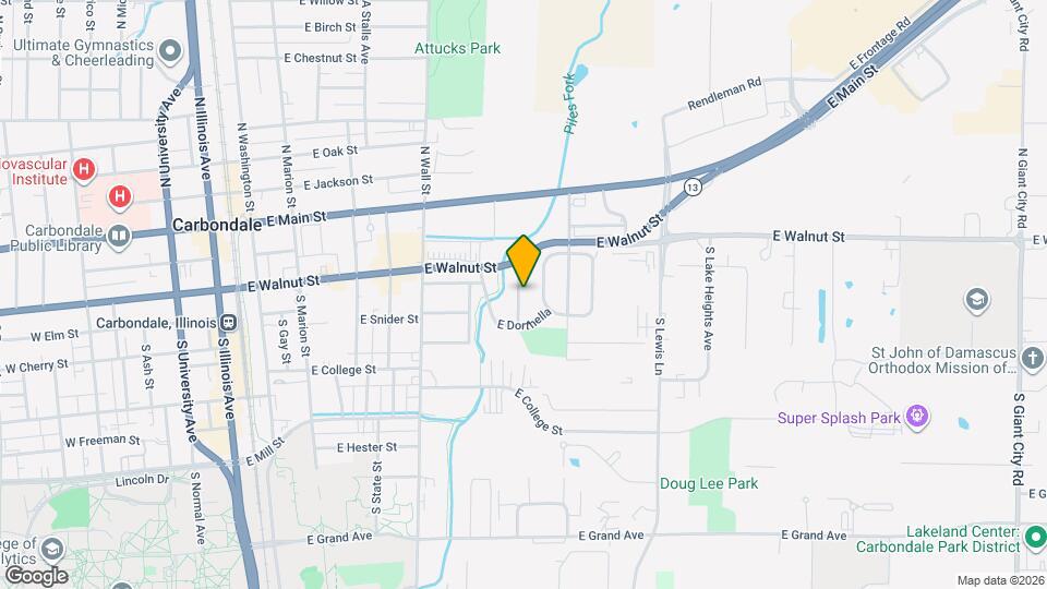 313 S Birchlane Dr Map and Location Details