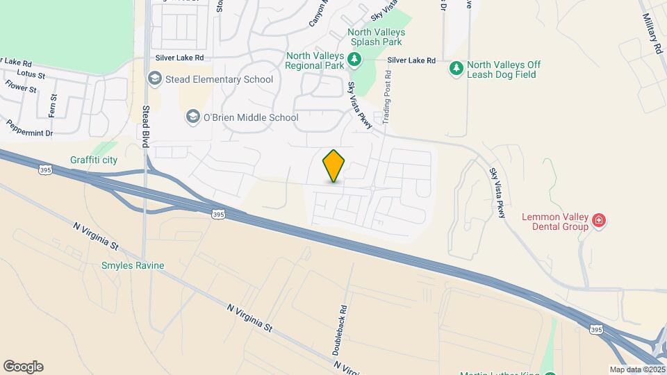 9740 Silver Dollar Ln Map and Location Details