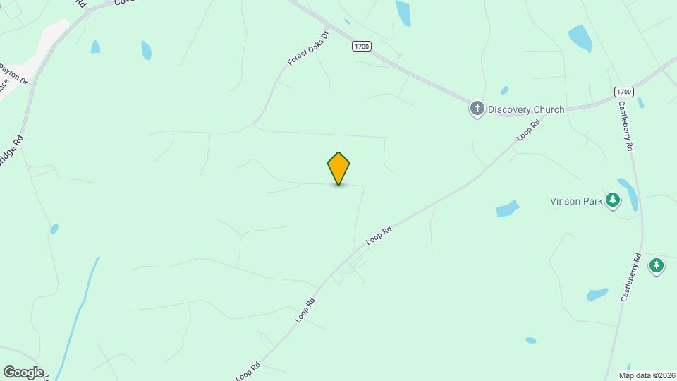 542 Loop Rd Map and Location Details