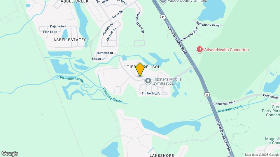 9243 Wellstone Dr Map and Location Details