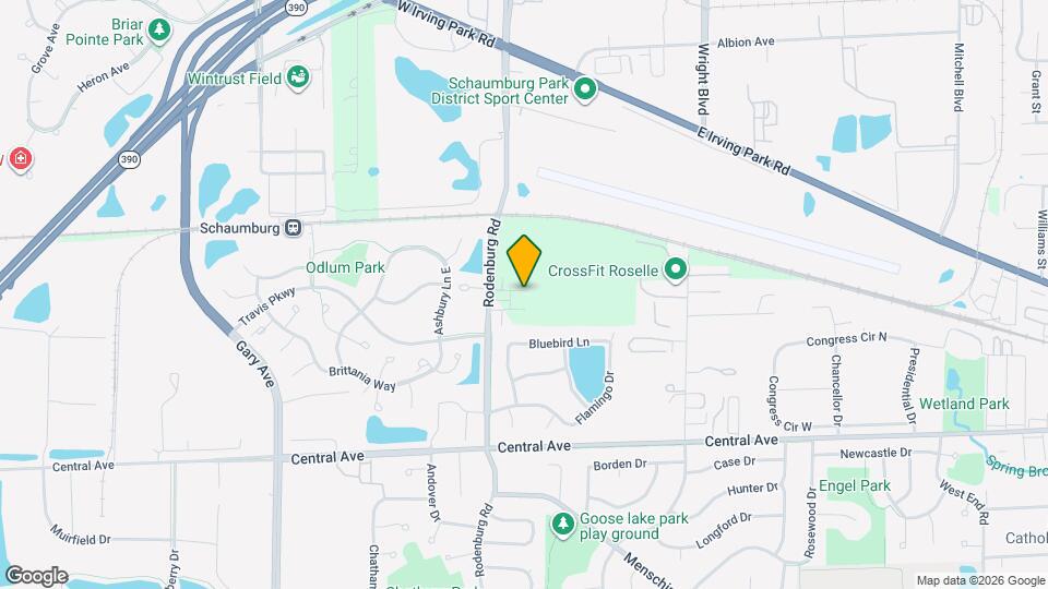 300 Timberleaf Cir Map and Location Details