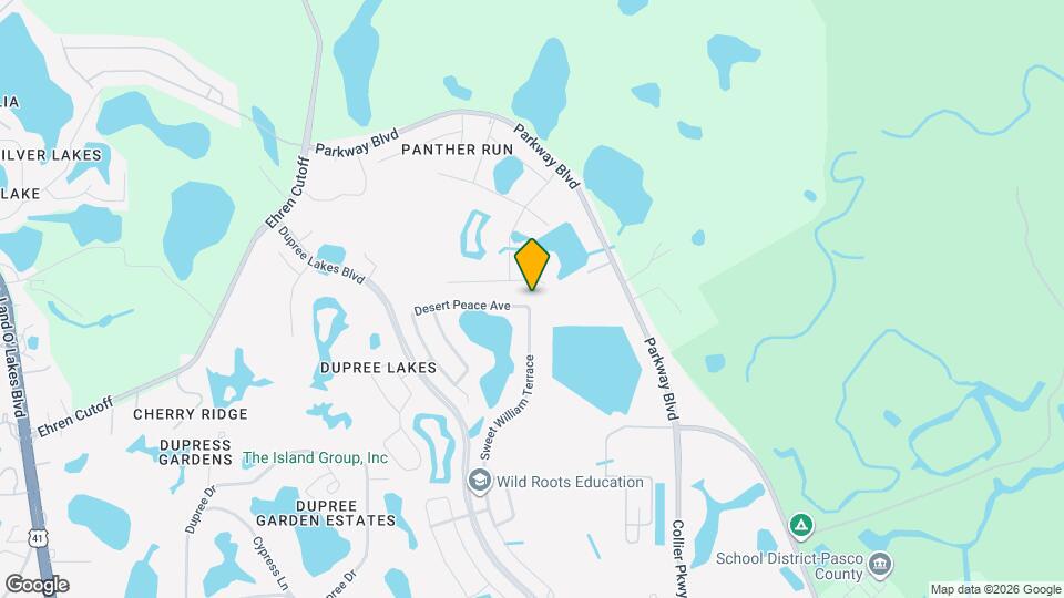 6355 Desert Peace Ave Map and Location Details