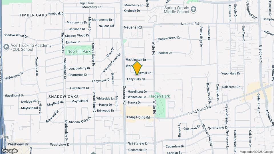 10038 Lazy Oaks St Mapa y Detalles de la Ubicación