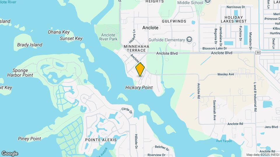 1181 Anclote Rd-Unit -#325 Map and Location Details