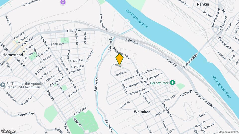 245 Vine St Map and Location Details