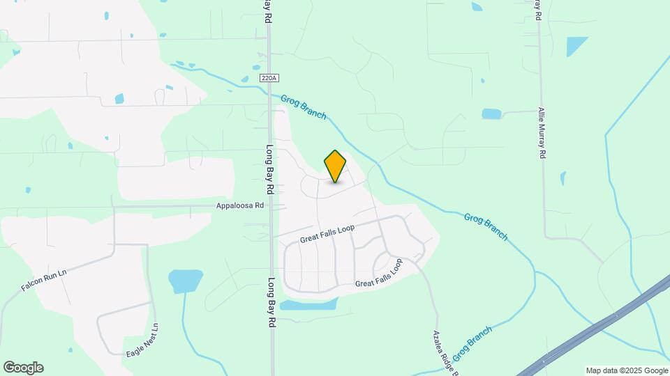 4295 Packer Meadow Way Map and Location Details