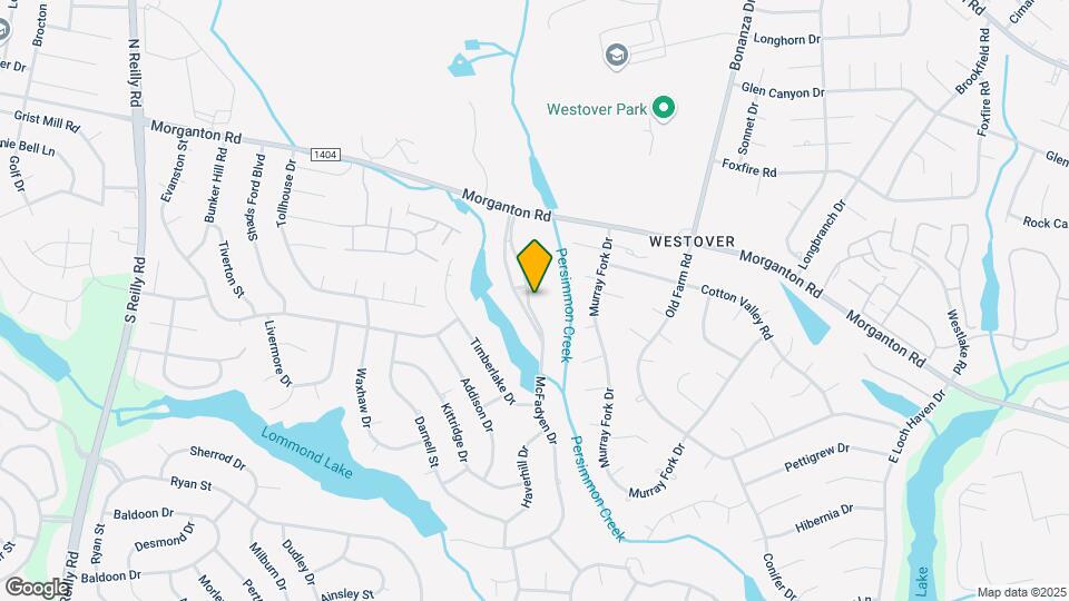 117 McFadyen Dr Map and Location Details