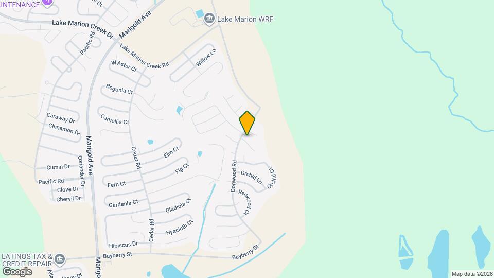 11 Magnolia Ln Mapa y Detalles de la Ubicación