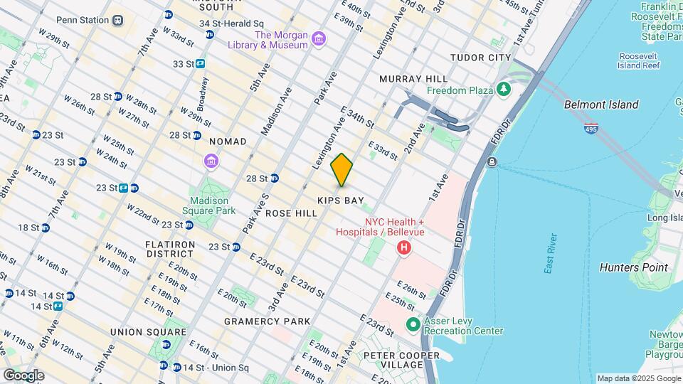 419 Third Ave Mapa y Detalles de la Ubicación